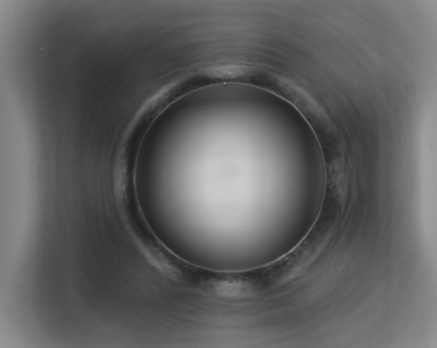X0000113270400200909101523
