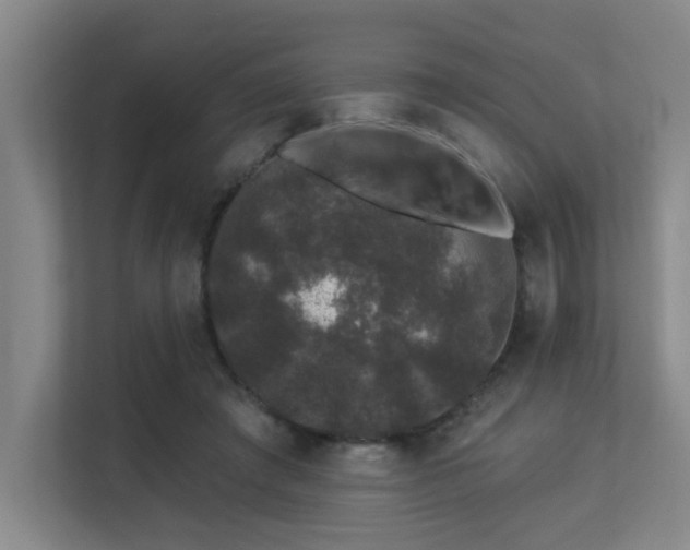 X0000113270401200909101523