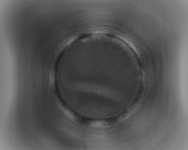 X0000113270402200909101523