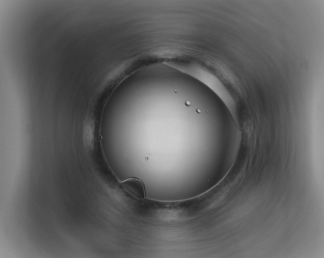 X0000113270404200909101523