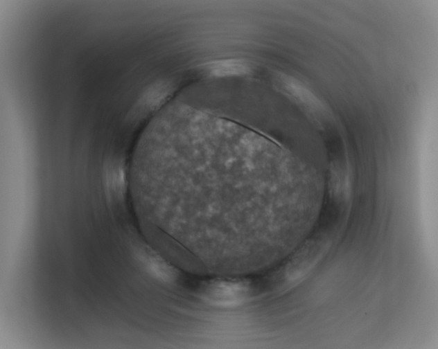 X0000113270405200909101523