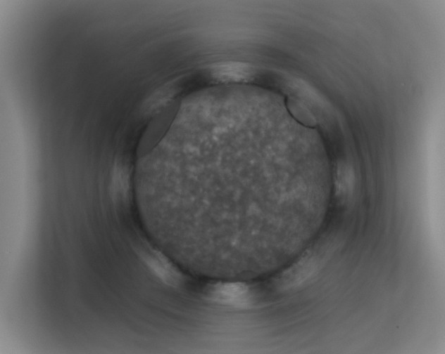 X0000113270409200909101523