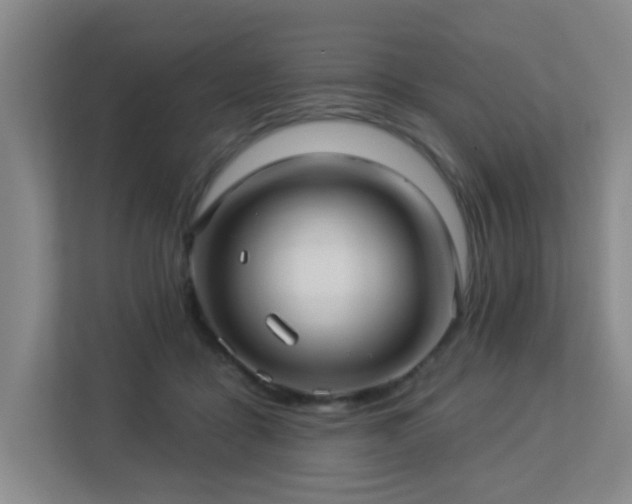 X0000113270411200909101523