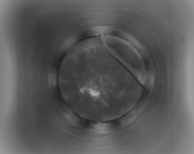 X0000113270413200909101523