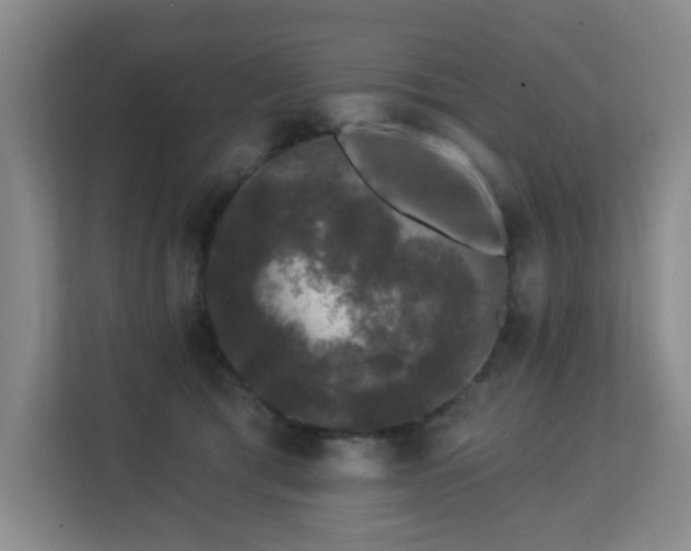 X0000113270417200909101523