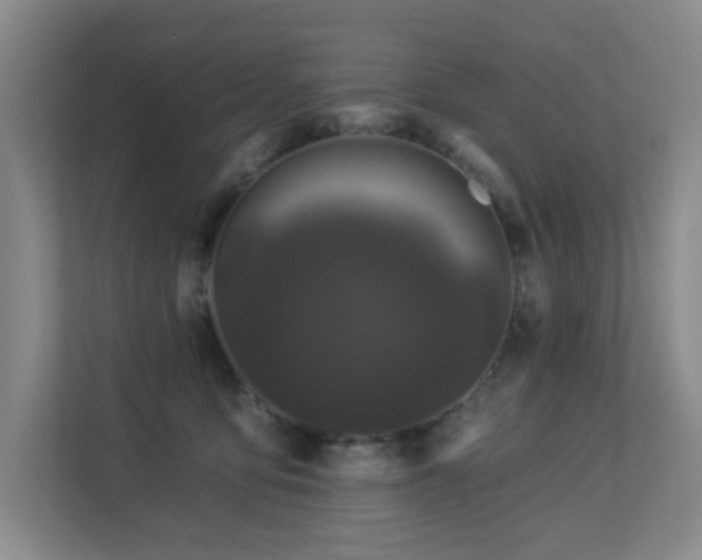 X0000113270419200909101523