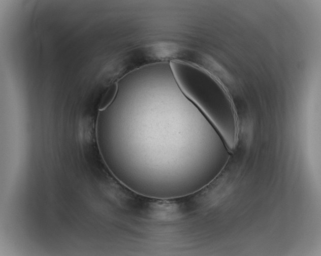 X0000113270421200909101523