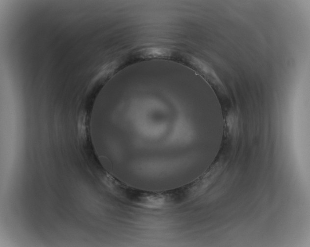 X0000113270423200909101523