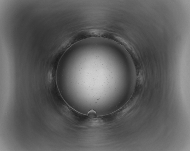 X0000113270424200909101523