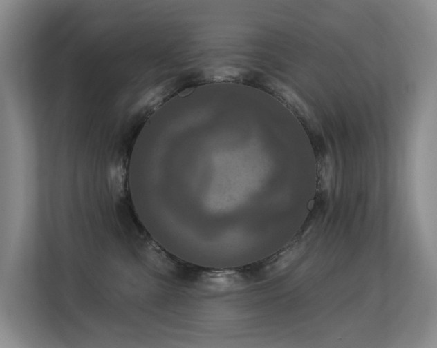 X0000113270427200909101523