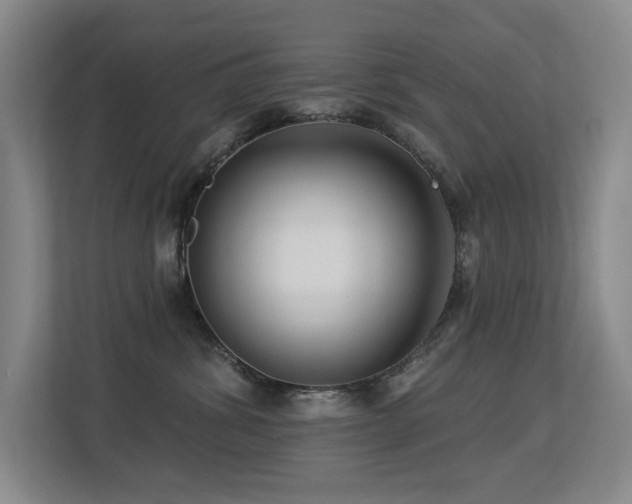 X0000113270428200909101523