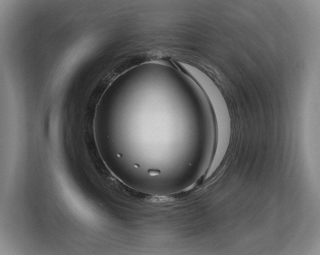 X0000113270429200909101523