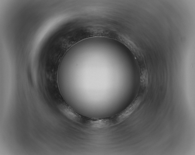 X0000113270430200909101523