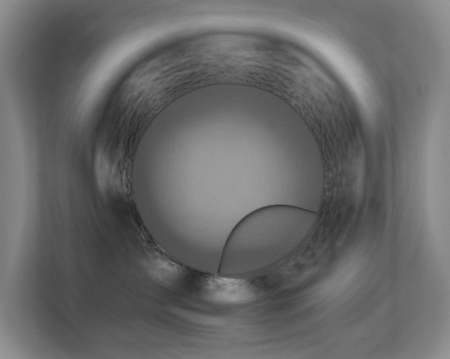 X0000113270431200909101523