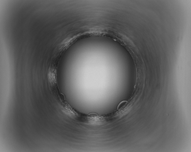 X0000113270432200909101523