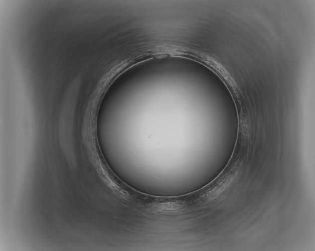 X0000113270433200909101522