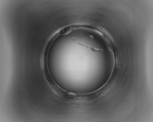 X0000113270436200909101522