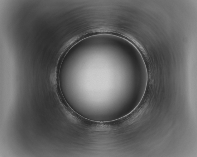 X0000113270437200909101522