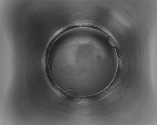 X0000113270438200909101522