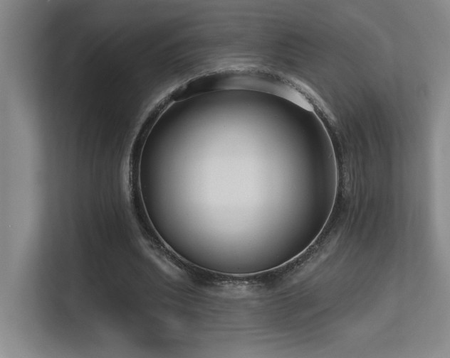 X0000113270439200909101522