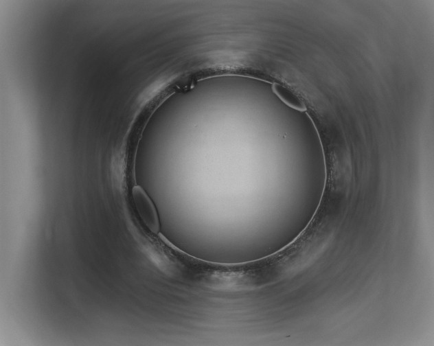 X0000113270440200909101522
