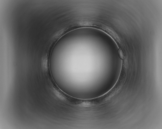X0000113270441200909101522