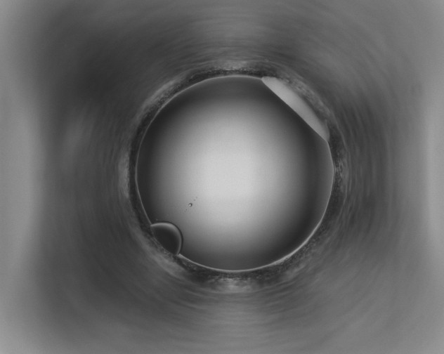 X0000113270442200909101522