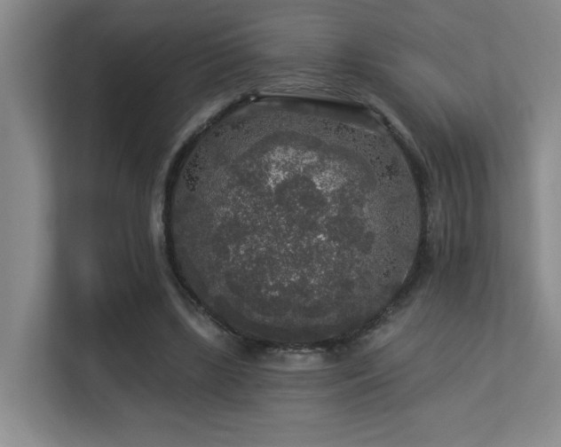 X0000113270443200909101522
