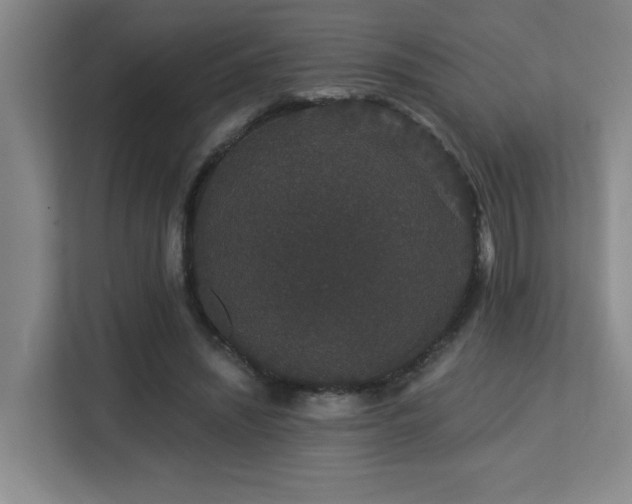 X0000113270444200909101522