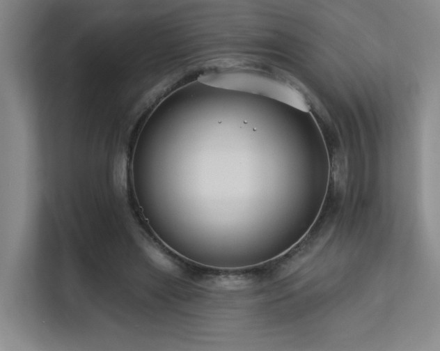 X0000113270445200909101522