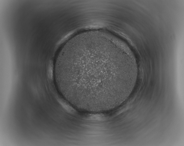 X0000113270446200909101522