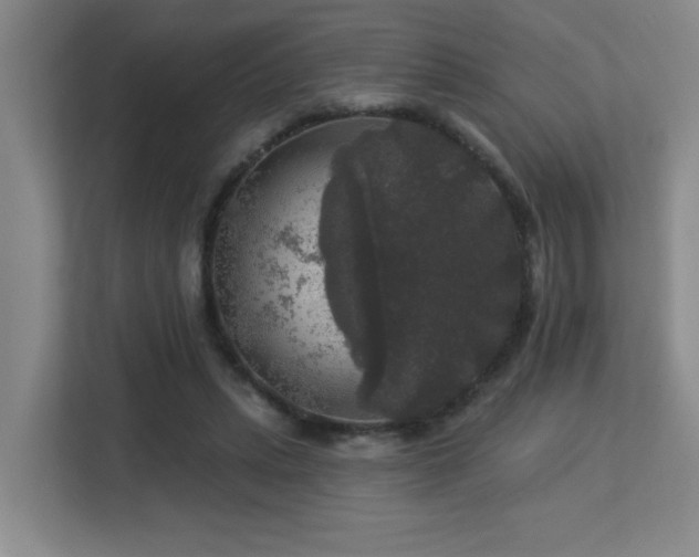 X0000113270447200909101522