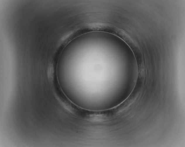 X0000113270448200909101522