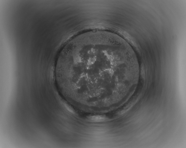 X0000113270449200909101522