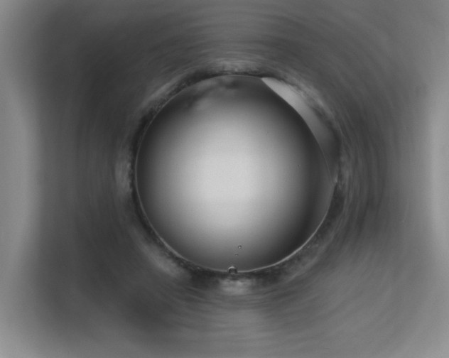 X0000113270450200909101522