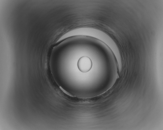 X0000113270452200909101522