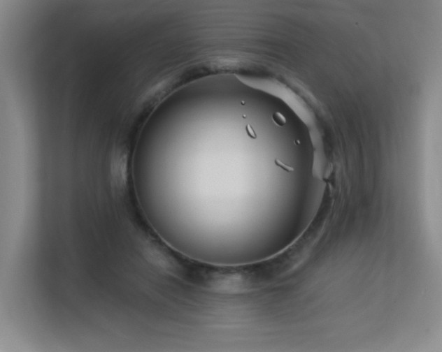 X0000113270454200909101522
