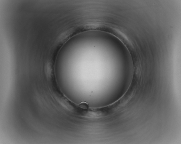 X0000113270455200909101522