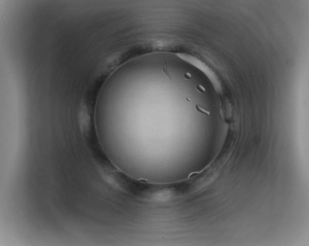 X0000113270456200909101522