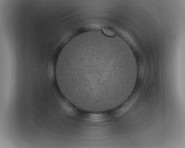 X0000113270457200909101522