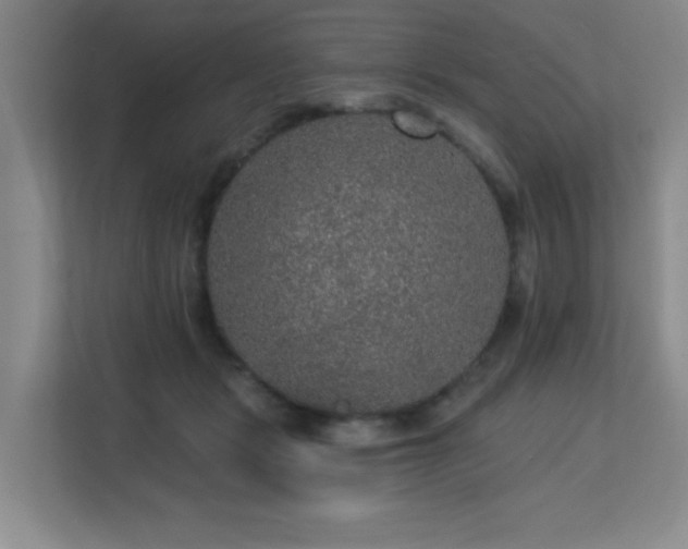 X0000113270461200909101522