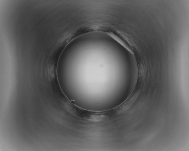 X0000113270470200909101522