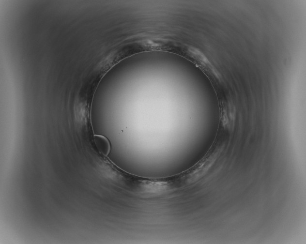X0000113270476200909101523
