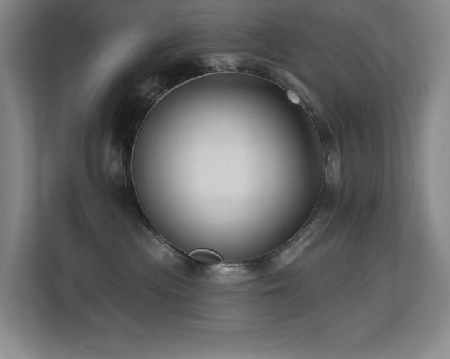 X0000113270477200909101523