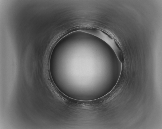 X0000113270481200909101522