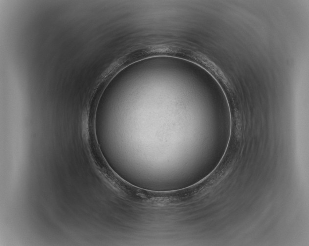 X0000113270482200909101522