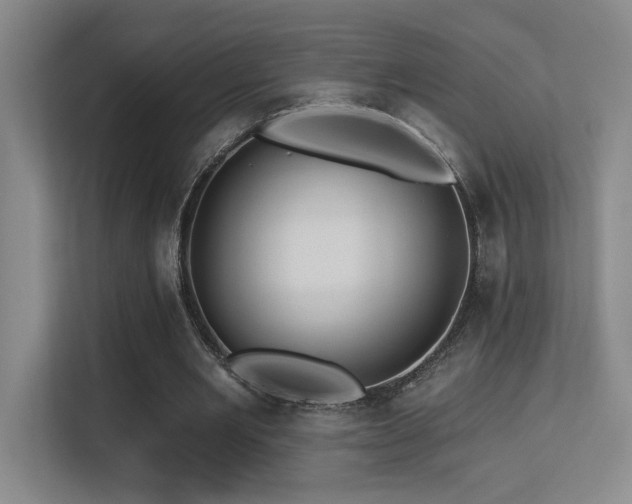 X0000113270485200909101522