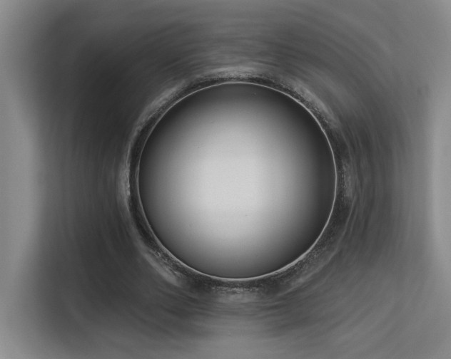 X0000113270486200909101522