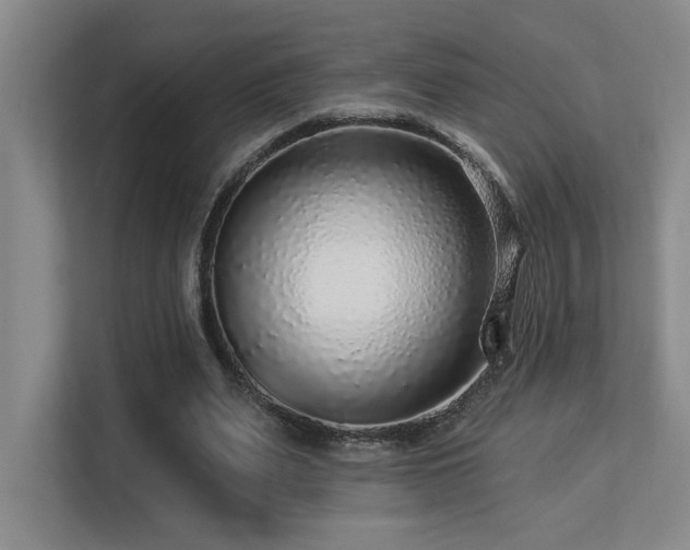 X0000113270487200909101522