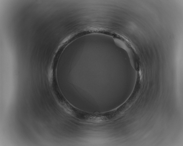 X0000113270488200909101522